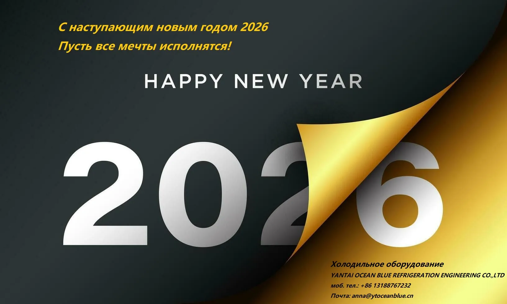 C наступающим новым годом 2026！